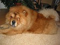 200411129 019